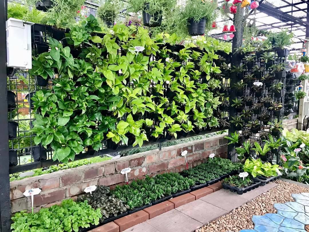 รูปร้านหรือสินค้า